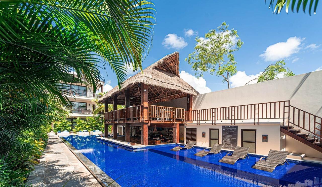 Zama Oasis | Tulum Studio photo 3