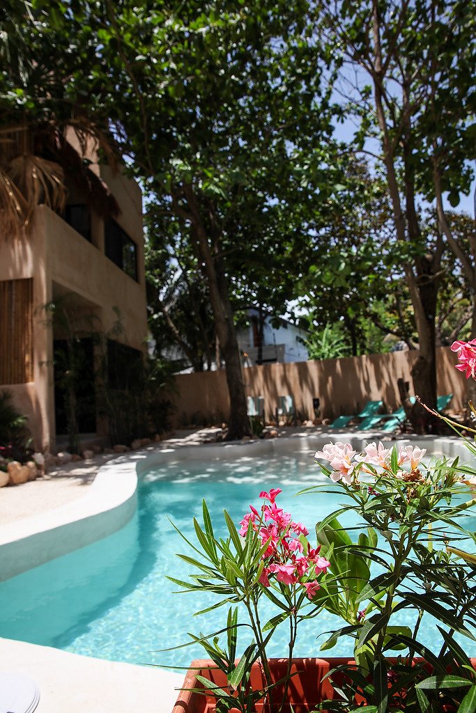 Casa KanKin | Five Unit Investment in Tulum photo 9