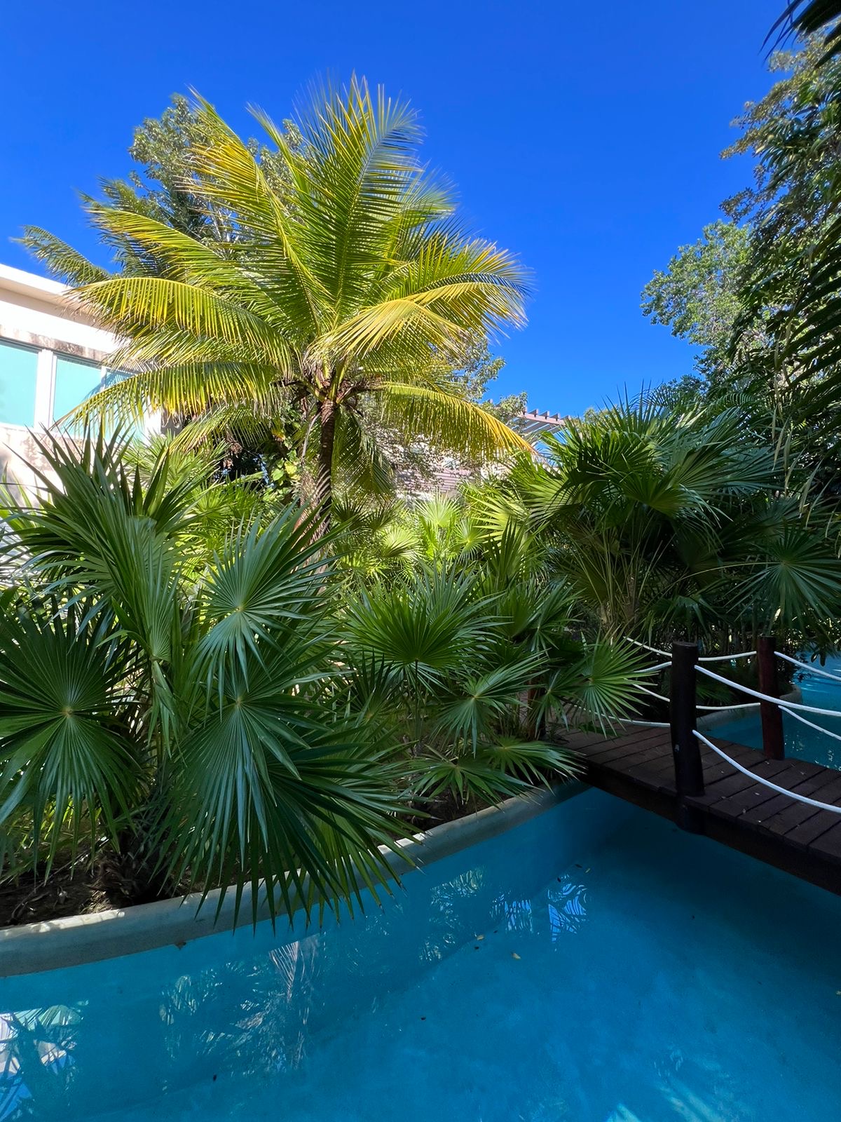 La Escondida | Garden Swim Up photo 1